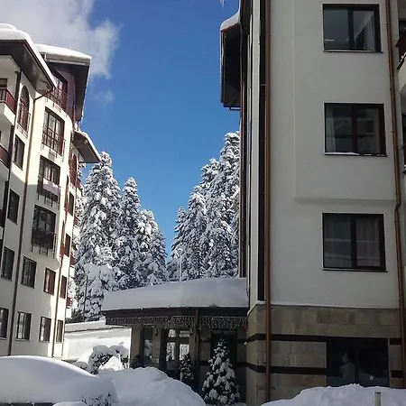 Flora Daisy 3* Borovets