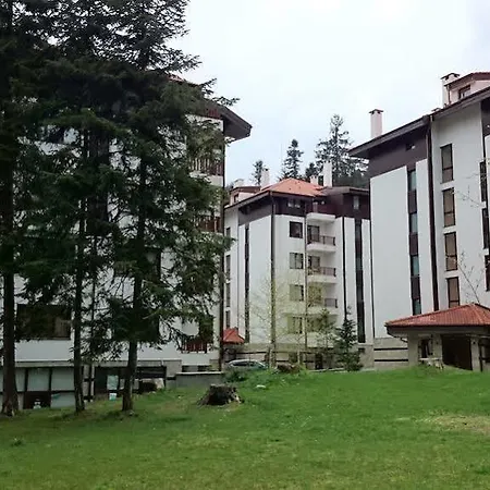 Flora Daisy بوروفتس