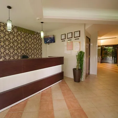 Flora Daisy 3* Boroveț