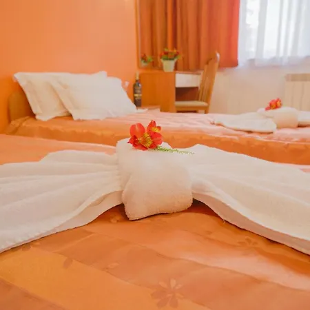 Flora Daisy 3* بوروفتس