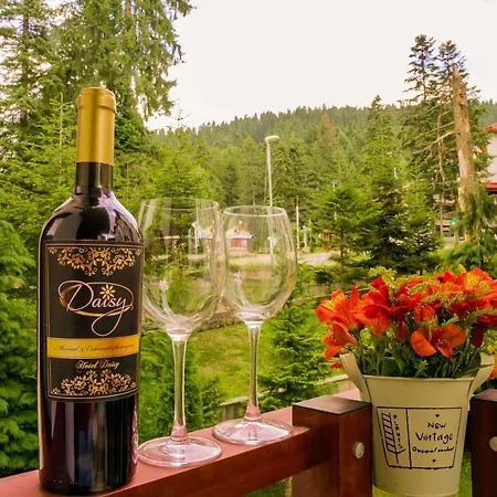 Apart Hotel Flora Residence Daisy 4* Borovets