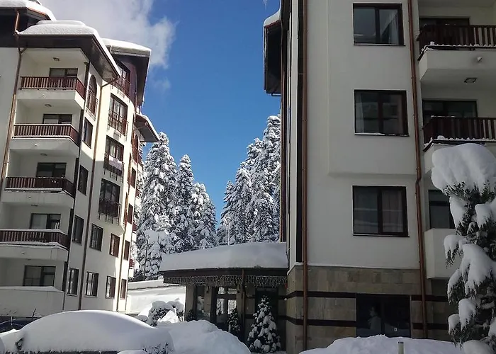 Flora Daisy 3* Borovets