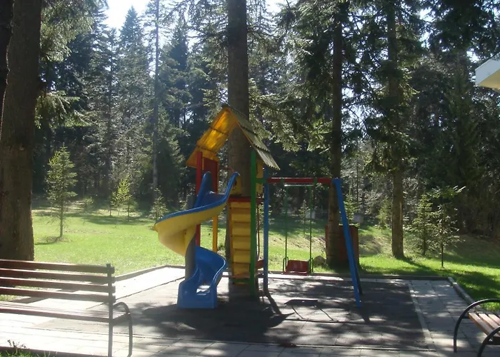 Flora Daisy 3* Borovets