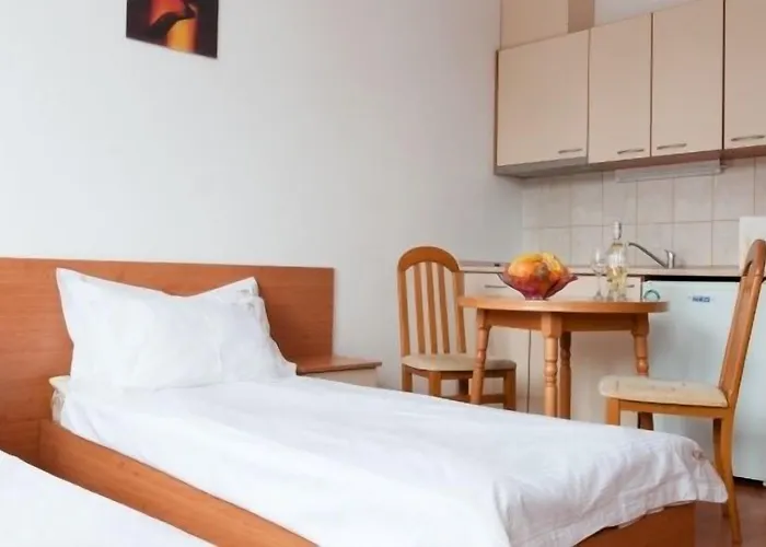 Flora Daisy 3* Borowec