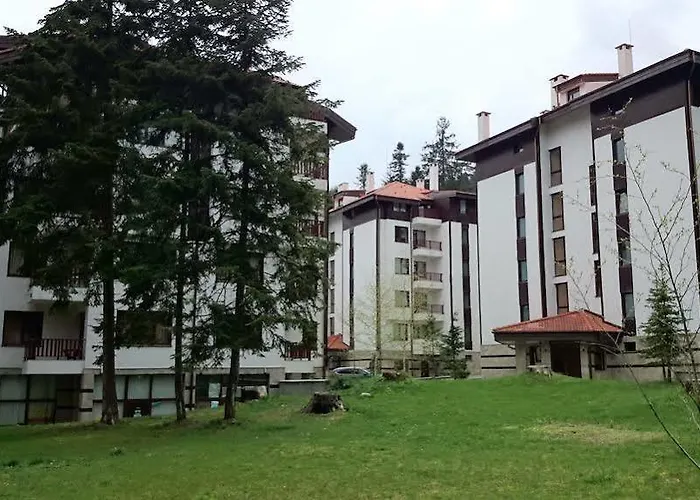 Flora Daisy Borovets