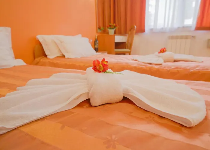 Flora Daisy 3* Borovets